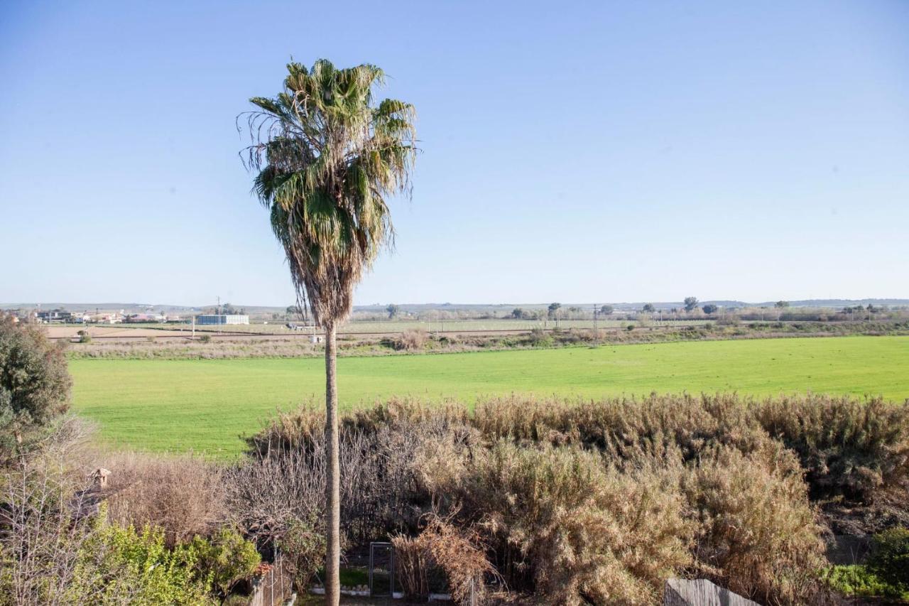 Casa Rural La Palmera Almodovar del Rio Luaran gambar