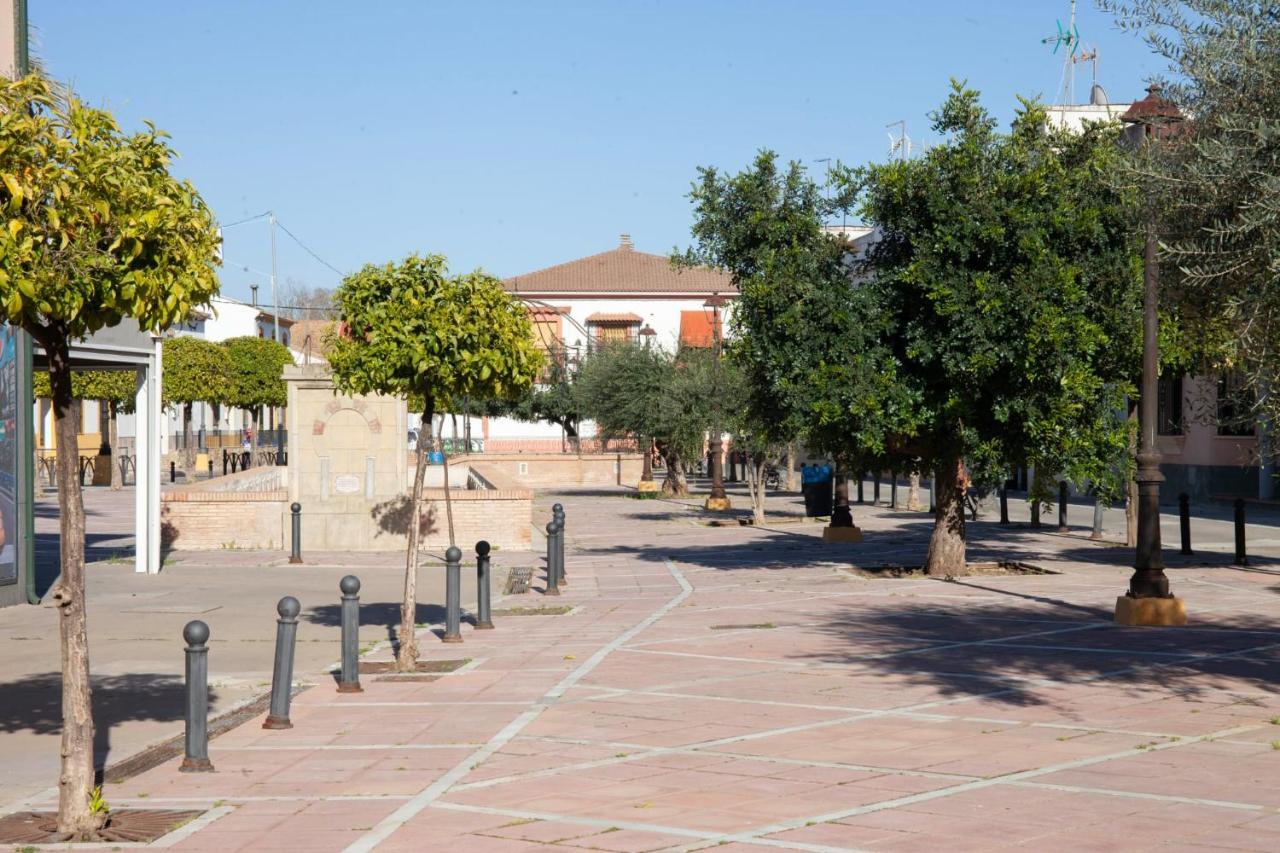 Casa Rural La Palmera Almodovar del Rio Luaran gambar